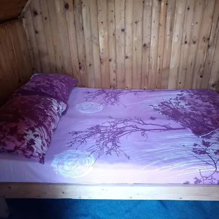 Nomad Vama Veche